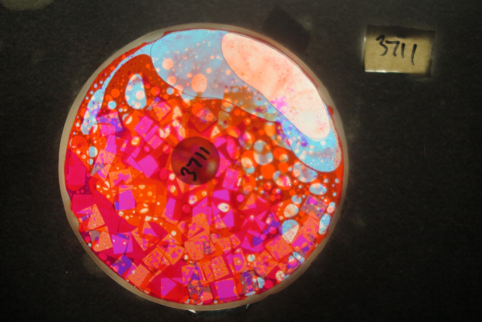 BV3711 bubble vision oil wheel